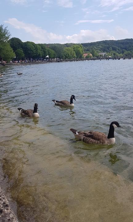 Strandbad Seewinkel